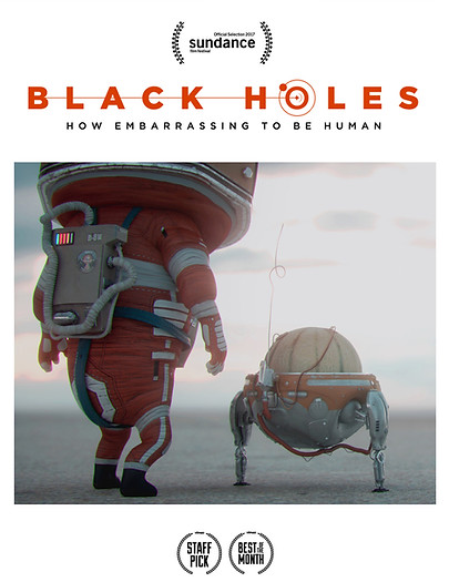 Black Holes