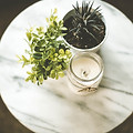 House Plants and Candle