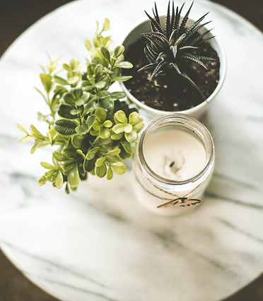 Plantes d'intérieur et bougie