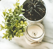 House Plants and Candle
