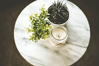 House Plants and Candle