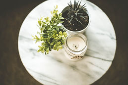 House Plants and Candle