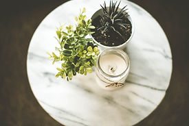 Plante grasse et bougie