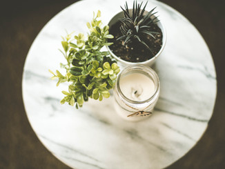 House Plants and Candle