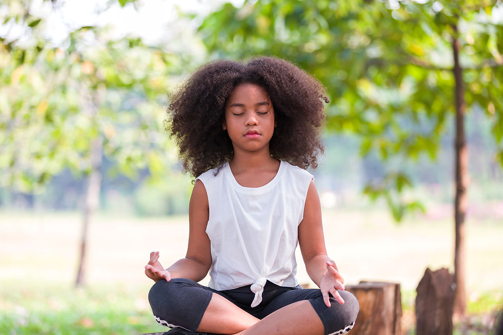 When The Village Meditates In-School Workshops