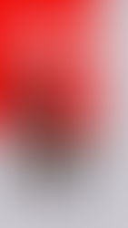 Progetto Sedie "Donne Senza Volto" di Mabi Sanna alla Libreria di Via Sulis