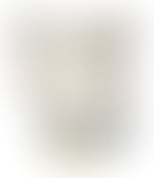 Gio Ponti: L'Architetto che Ha Disegnato il Moderno