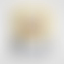 Paris Street Food di François Blanc Cucina di Strada Parigina