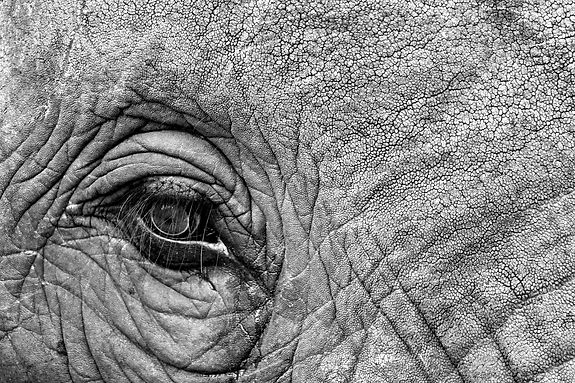 pexels-delvis-4167834_edited.jpg