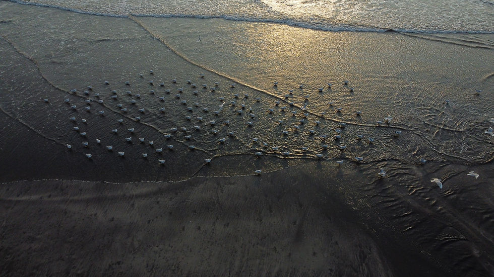 DJI_0092.JPG