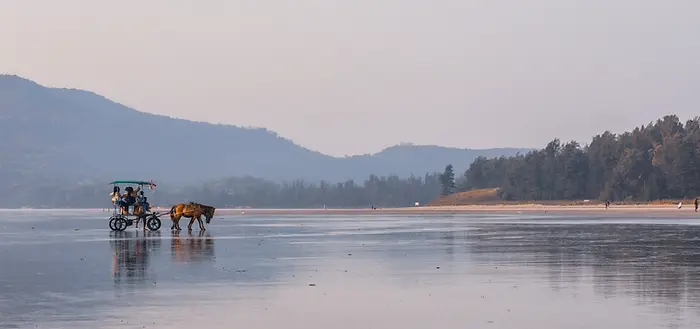 A horse drawn carriage on a beach
