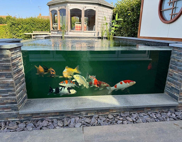 33mm Pond Viewing Window | Toughened and Laminated Pond Glass UK