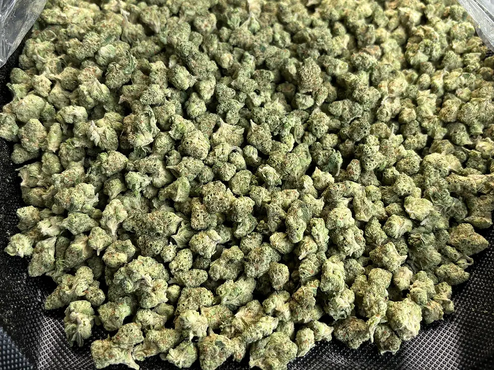 Maui-Wowie (smalls) THCa Hemp Flower – Loose Buds