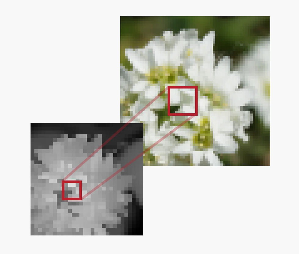 Each Z pixel could match 4 or 8 RGB pixels for cleaner results.
