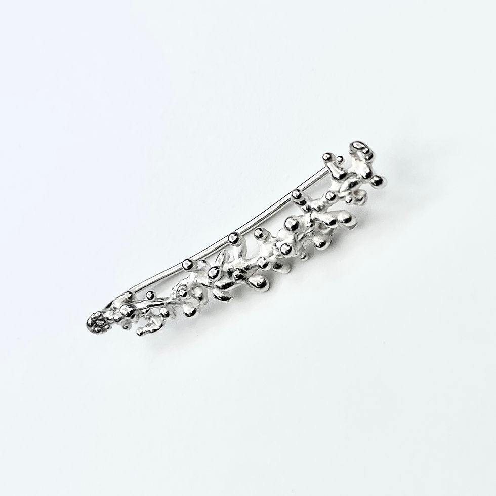 Thumbnail: Silver Kelpie Ear Climber