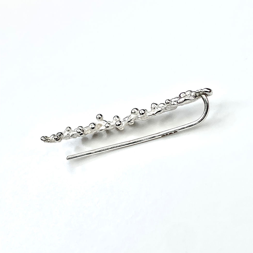 Thumbnail: Silver Kelpie Ear Climber