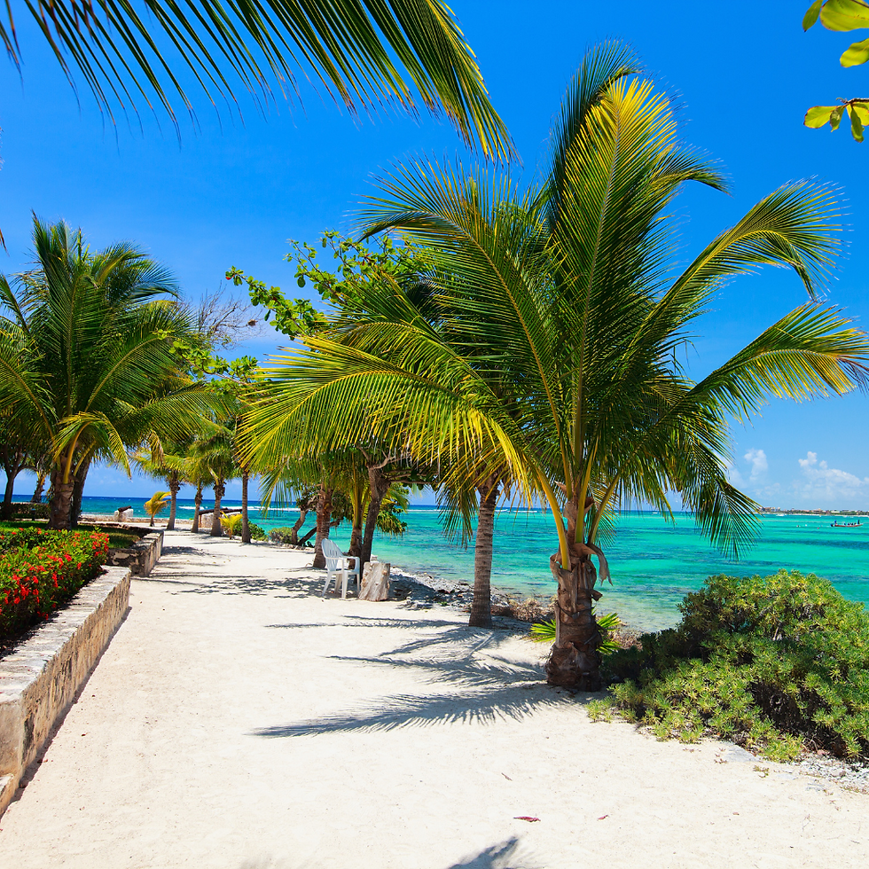 Scenic view of Playa Akumal. A white sand pathway with palm trees on the side, and a pristine beach with blue clear waters, perfect for adventure seekers. Discover top activities with FishAndTripTours.