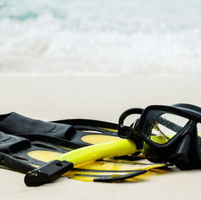 Snorkeling with Turtles: A Guide for Young Adventurers