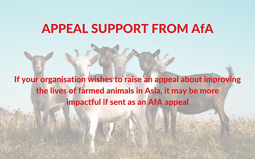 Farm Animal Coalition (4).png