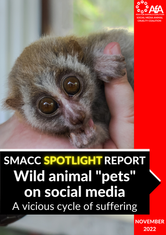 SMACC SPOTLIGHT REPORT - Wild animal “pets” on social media ENGLISH