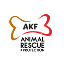 Animal Kingdom Foundation.png
