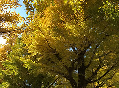 IMG_3886.jpg