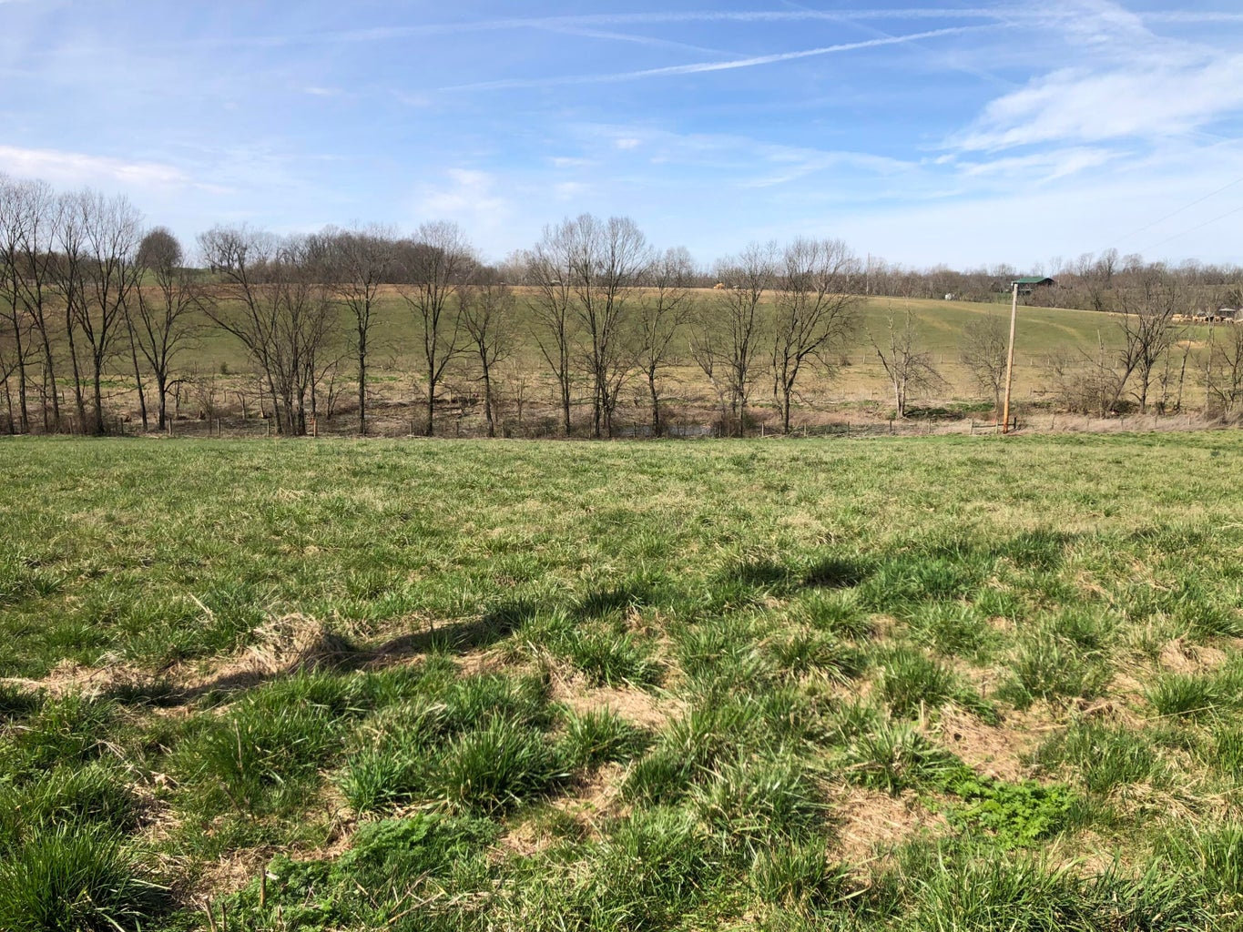 Lot 11 Mt. Vernon Rd.