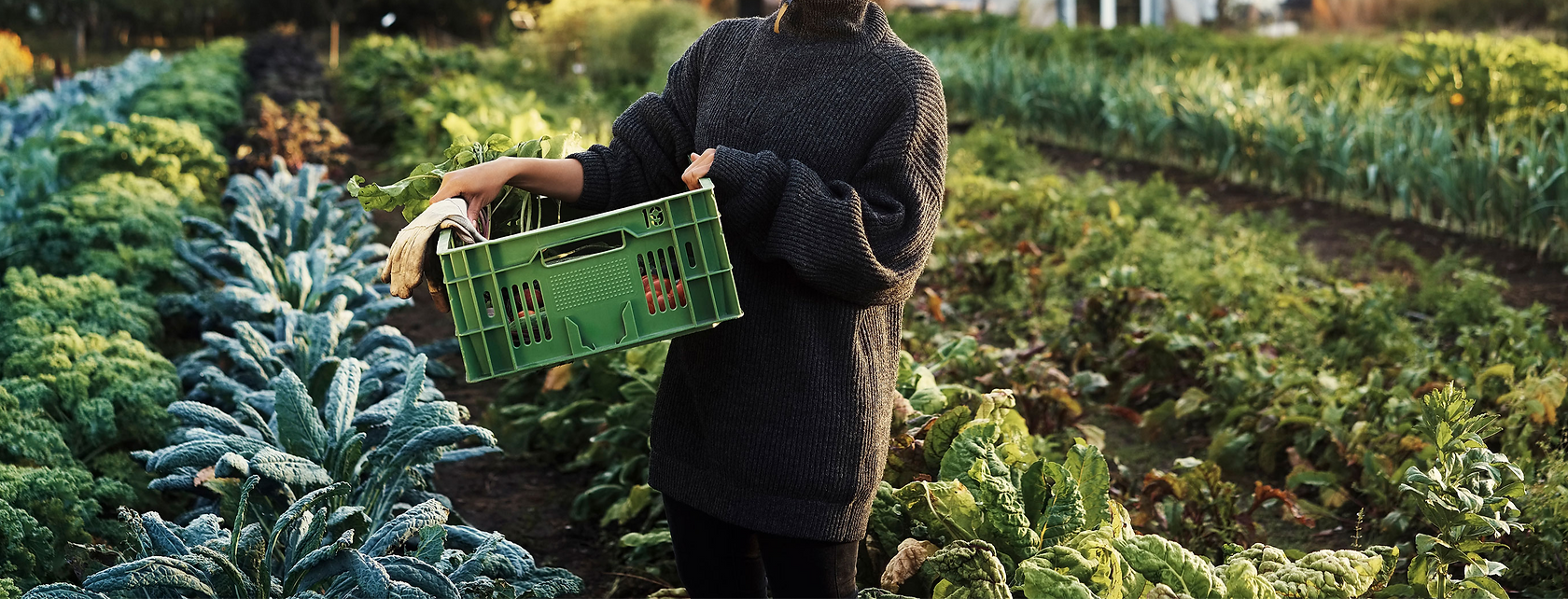 Organic Gardening_edited.png