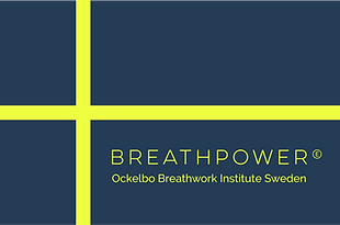 logo_Ockelbo_vlag.png