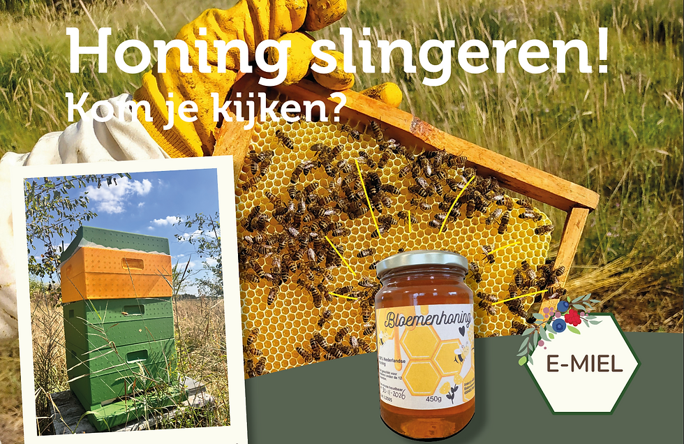 HONING SLINGEREN