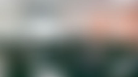 2025年度　全体研修