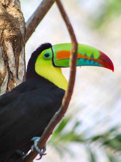 Excursiones con Paraiso Aventura RNT-174430