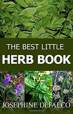 The Best Little Herb Book by author Josephine DeFalco.