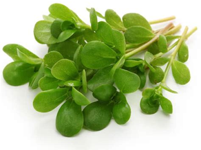Les aliments anti-inflammatoires