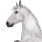 Untitled_Artwork-23.png