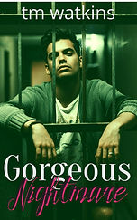 gorgeous nightmare cover