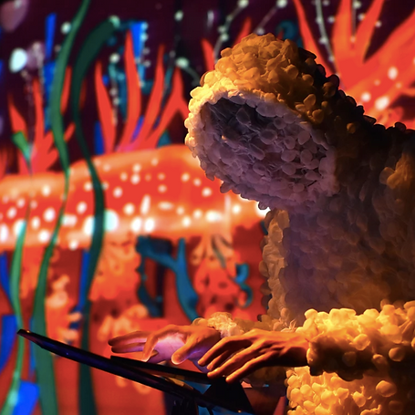 Captura de pantalla 2019-01-29 a la(s) 0