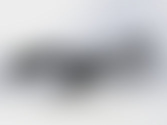 2018 Summer Project Arm