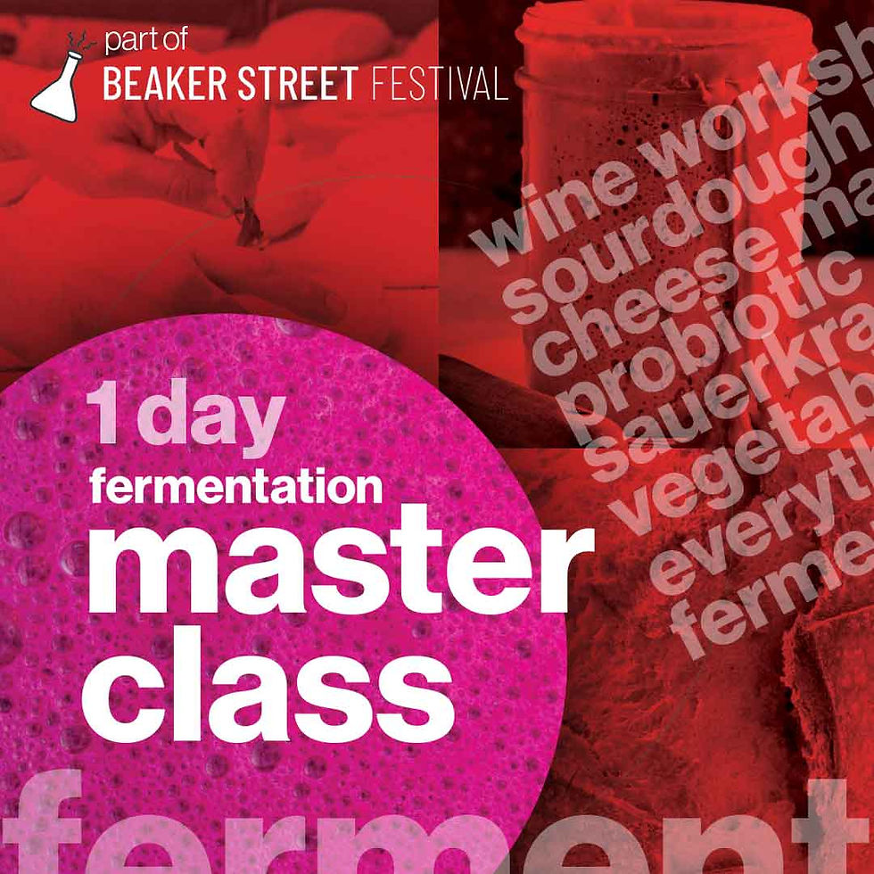 The Fermentation Masterclass