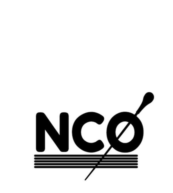 New Conductors Orchestra