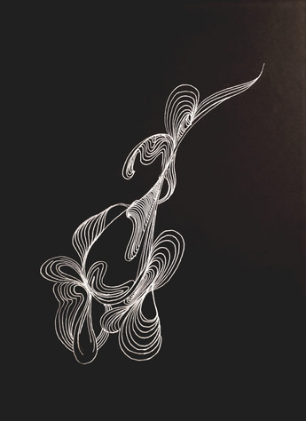Phesphora