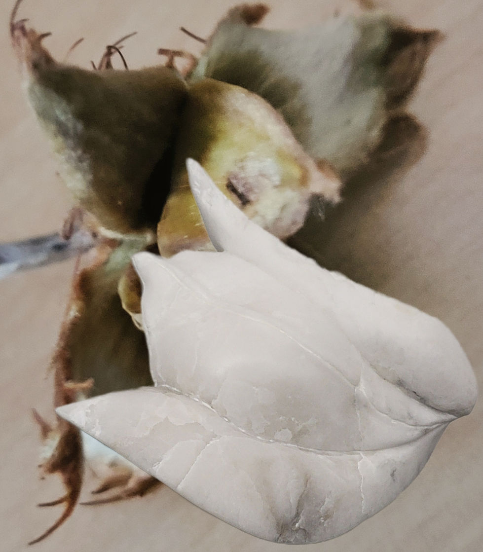 aus der Natur heraus.jpg