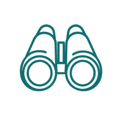 Binoculars icon
