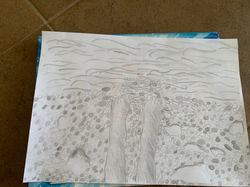 Stela Haring 2