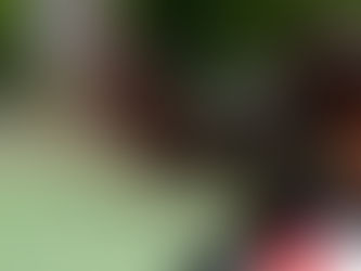 『秘密の写真Ⅹ』に出展しました!
