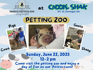 Petting Zoo