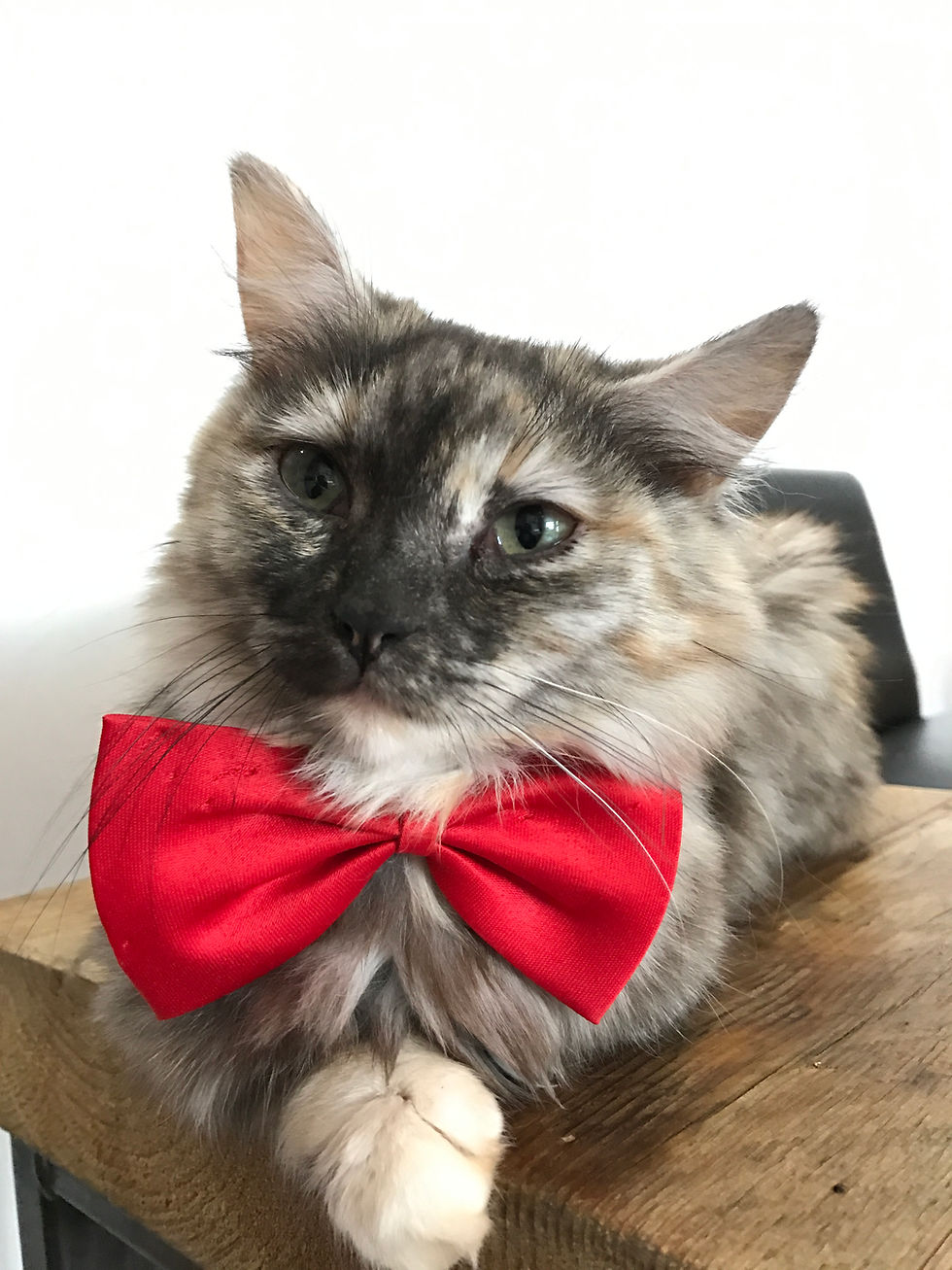 Dress to impress!
