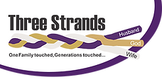 Sishya Three Strands Logo (w design) 202