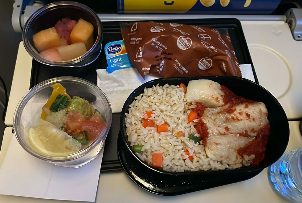 Our third and final gluten-free meal onboard Etihad Airways 