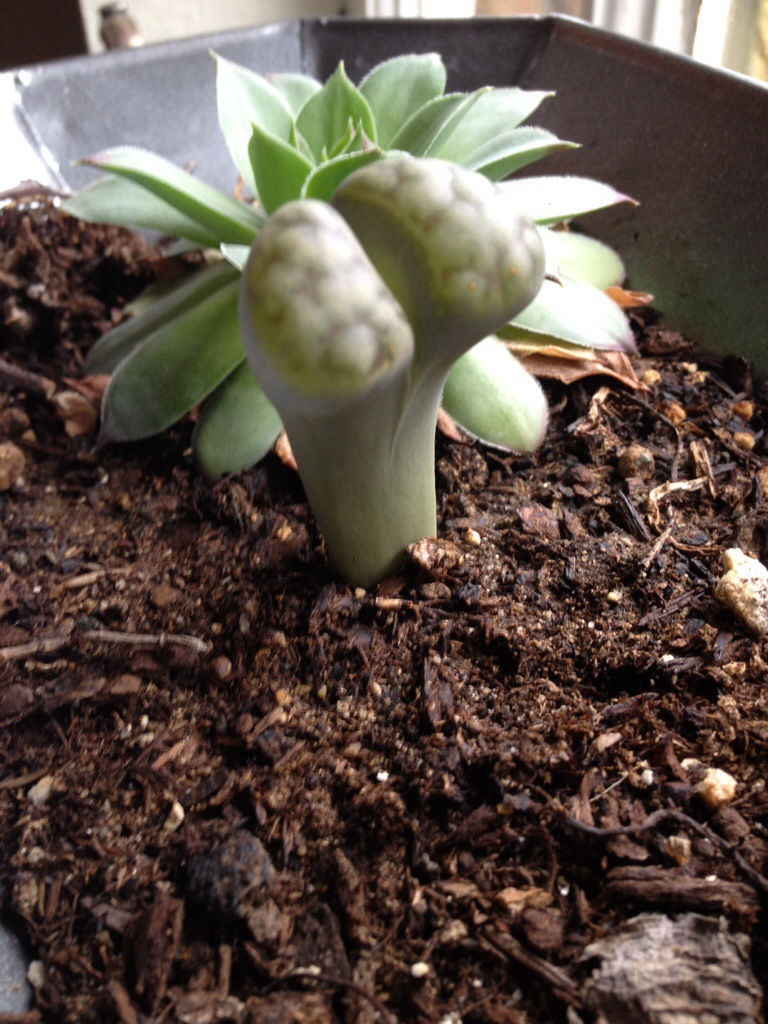 20140304-164032.jpg